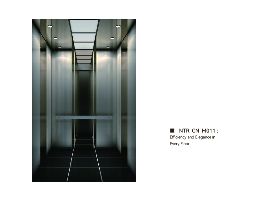 NTR-CN-M011