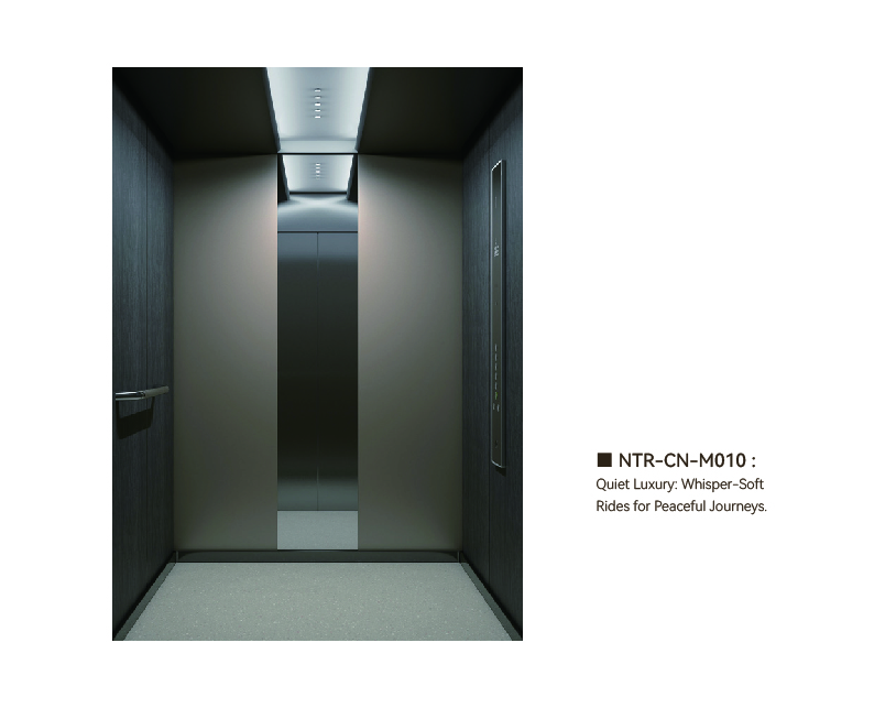 NTR-CN-M010