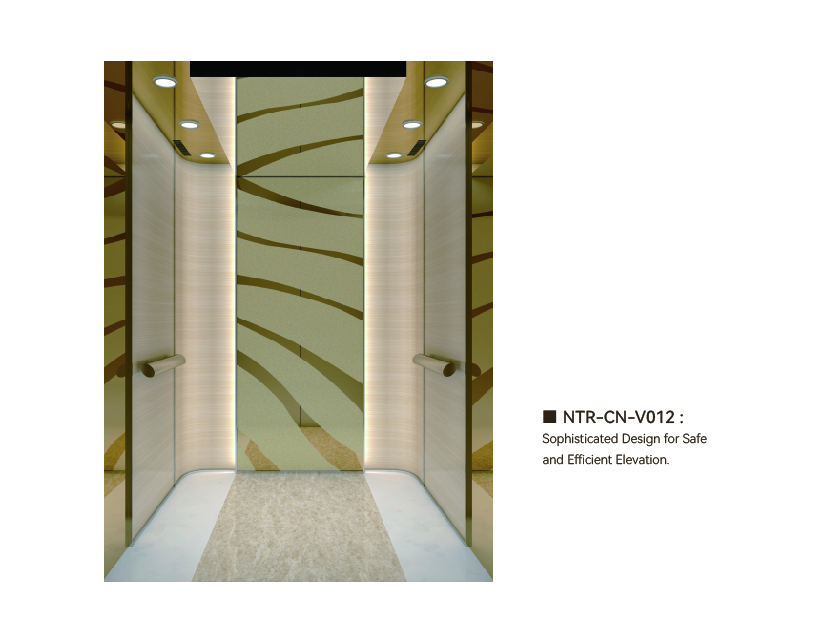NTR-CN-V012