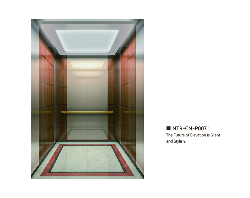 NTR-CN-P007