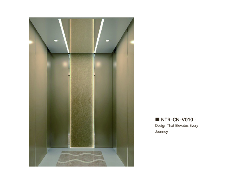 NTR-CN-V010