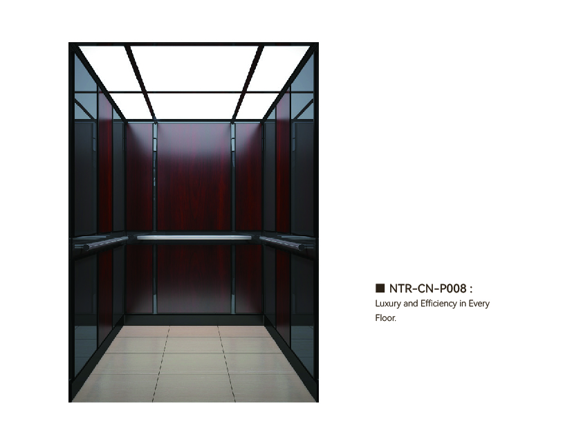 NTR-CN-P008