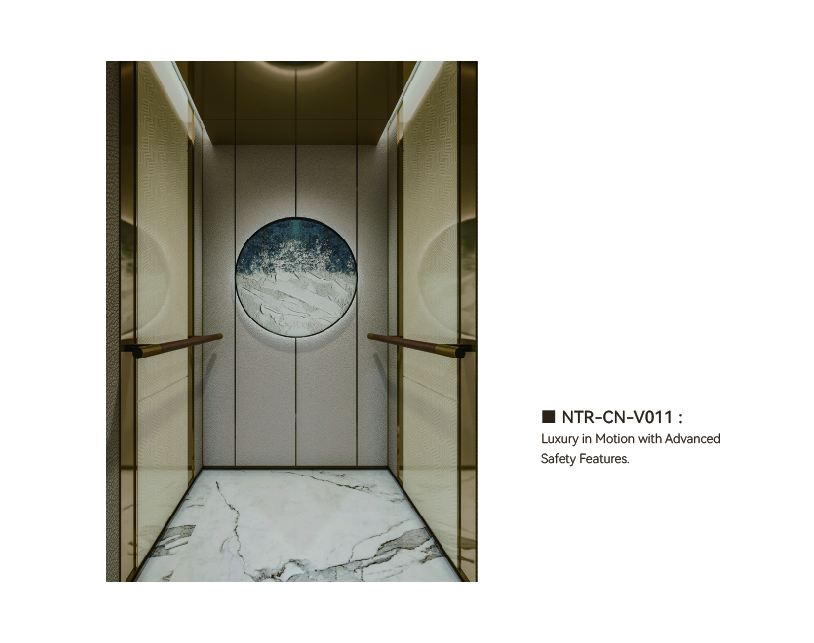 NTR-CN-V011