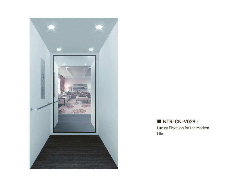 NTR-CN-V029