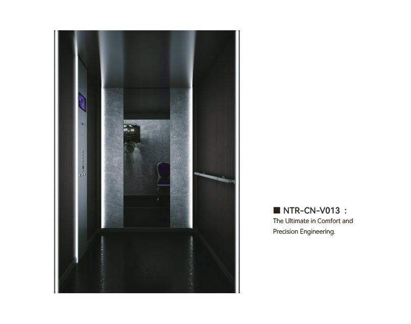 NTR-CN-V013