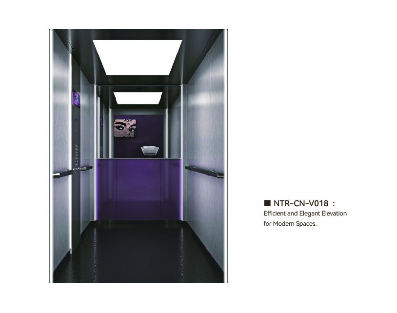 NTR-CN-V018