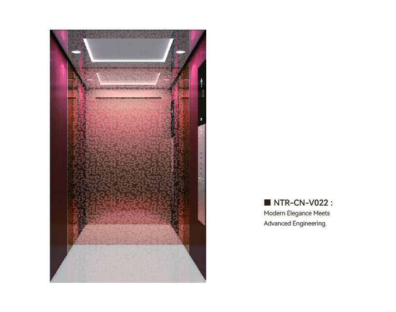 NTR-CN-V022