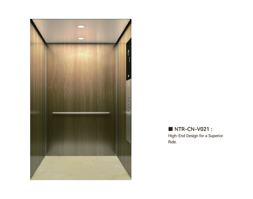 NTR-CN-V021