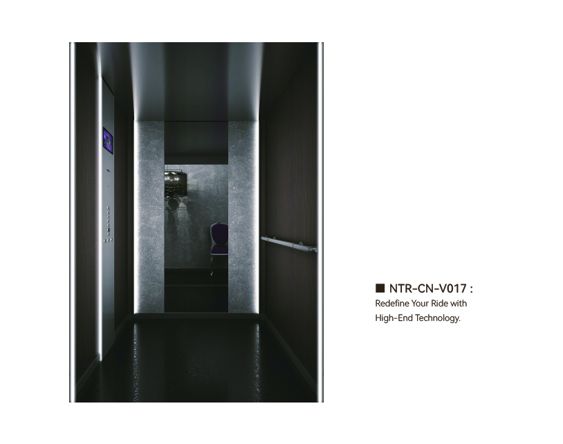 NTR-CN-V017