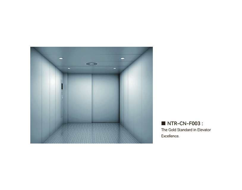 NTR-CN-F003