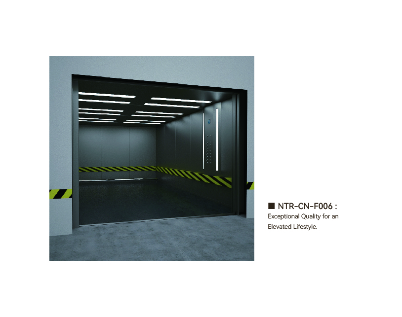NTR-CN-F006