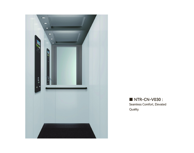 NTR-CN-V030